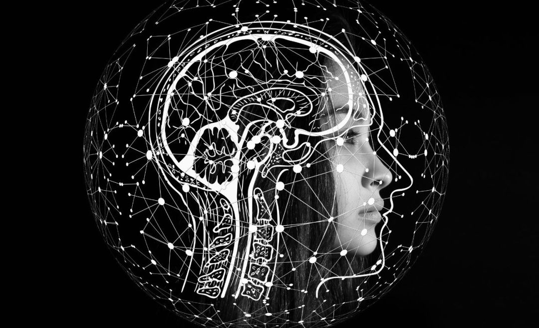 Обнаружена новая мозговая сеть, соединяющая разум и тело